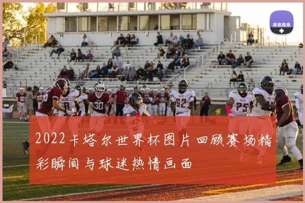 2022卡塔尔世界杯图片回顾赛场精彩瞬间与球迷热情画面
