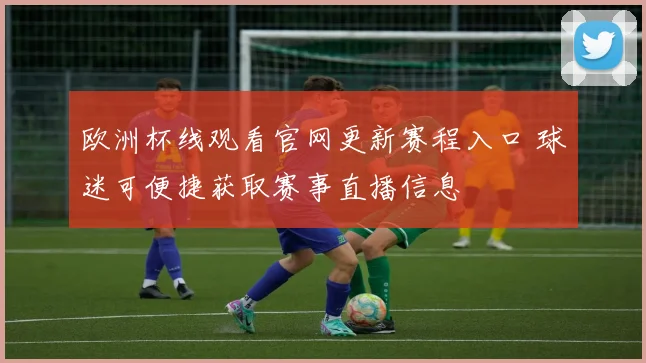 欧洲杯线观看官网更新赛程入口 球迷可便捷获取赛事直播信息
