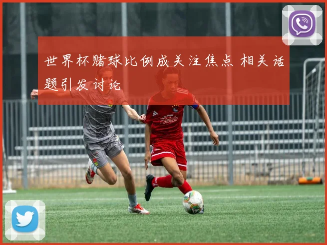 世界杯赌球比例成关注焦点 相关话题引发讨论